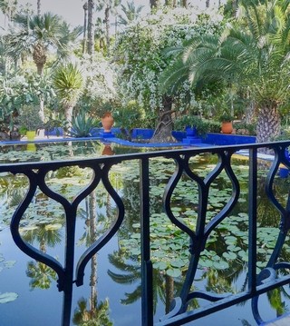 Jardin majorelle   |   36  /  47    |